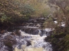mountain-stream-moycullen-galway