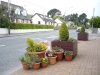 street-plants-in-moycullen-galway