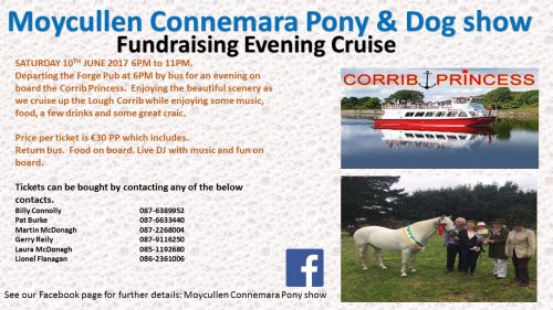 Moycullen Connemara Pony and Dog show
